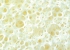 Latex Talalay